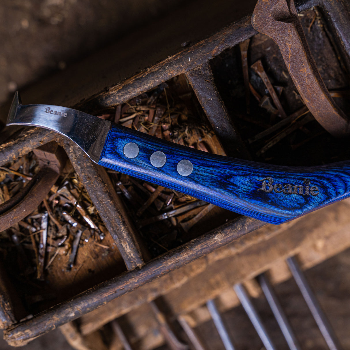 Farrier Large Loop Knife with Flick Groover