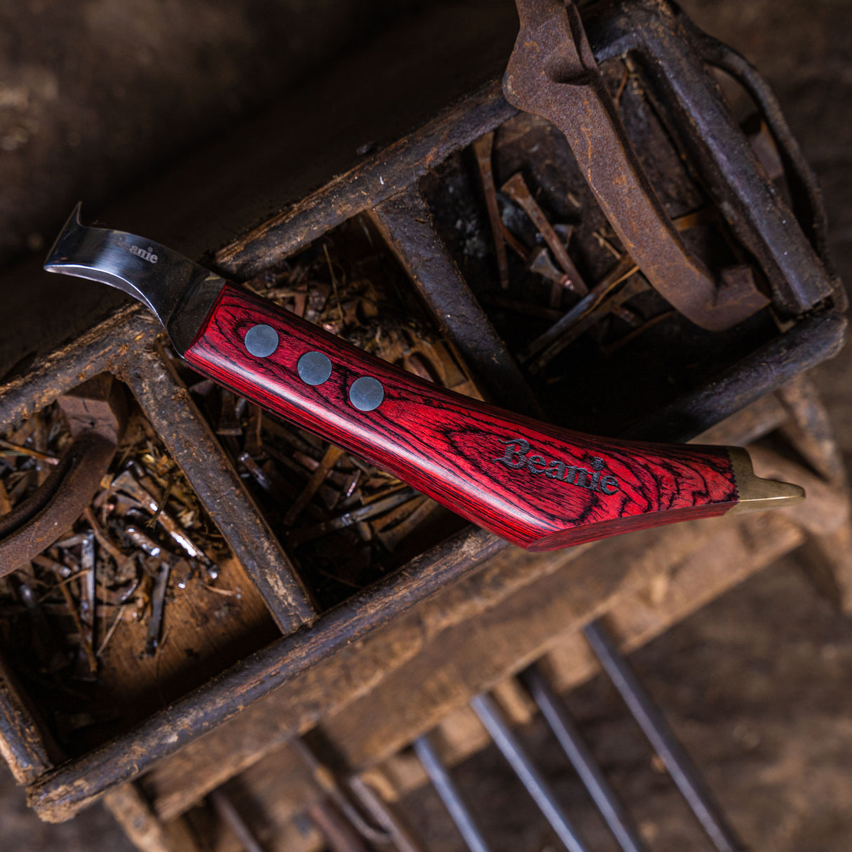 Beanie Farrier Small Loop Knife with Brass Topper